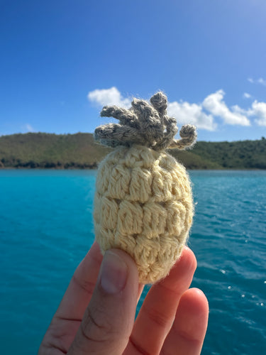 Crochet Antigua Pineapple